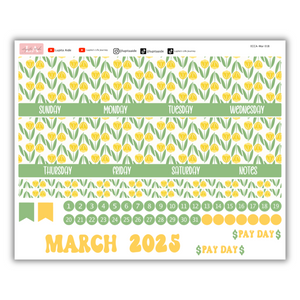 12 Month Erin Condren January-December 2025 Calendar Kits 8.5 x 11