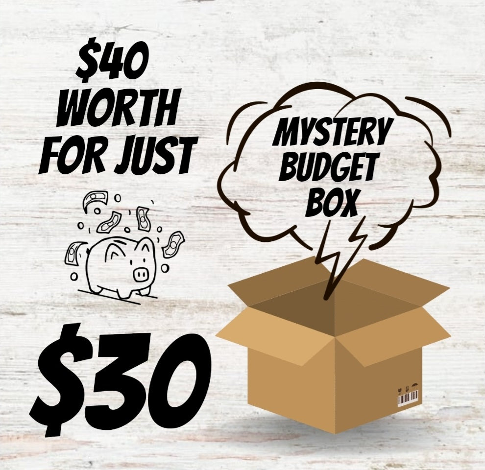 $30 Budget Mystery Box